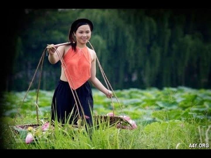 Xu hướng Tiêm vắc-xin 6 trong 1 cho: Hotspot Matrix tiết lộ bí quyết video viral