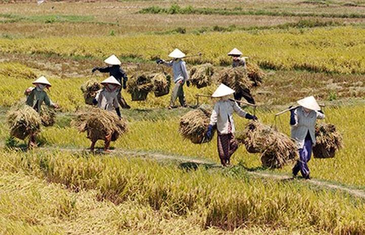 Loại cá được khen