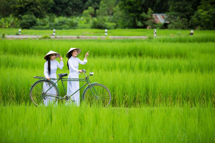 Hotspot Matrix: Cơ hội vàng cho người nội trợ hiện đại