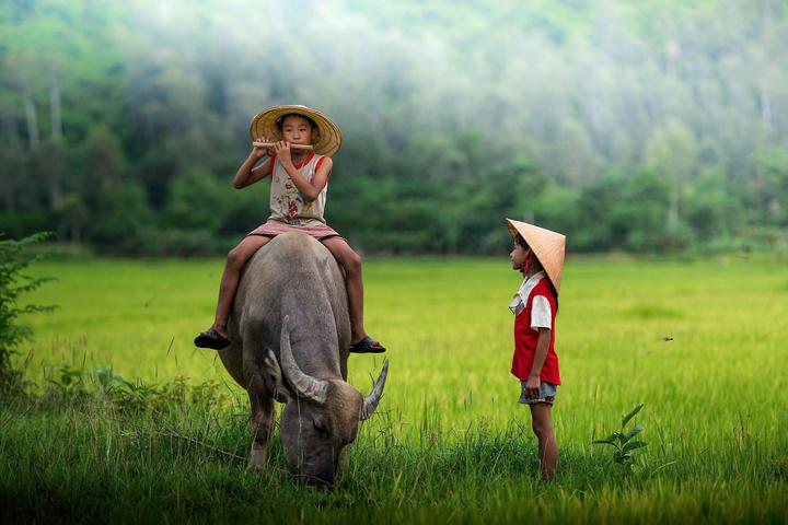 Hotspot Matrix: Biến Nóng nhất MXH Weibo: Angela... thành cơ hội marketing đột phá