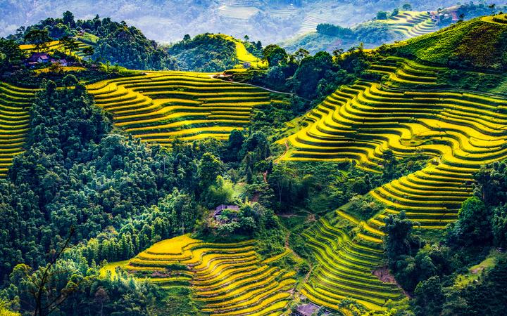 Sốc: Vụ tố