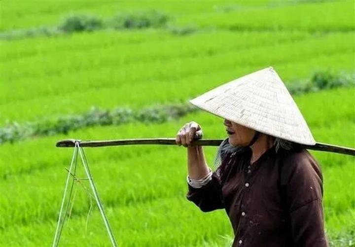 Biến giọng hát thành triệu đô với Hotspot Matrix