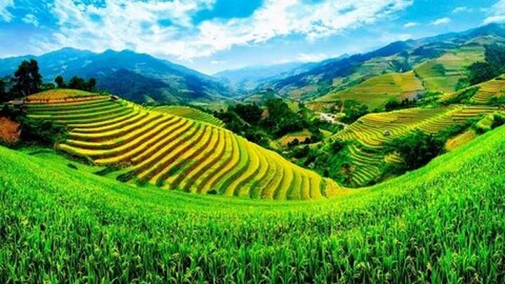Hotspot Matrix: Bước Ngoặt Cho Nhà Đầu Tư Khởi Nghiệp Video Ngắn