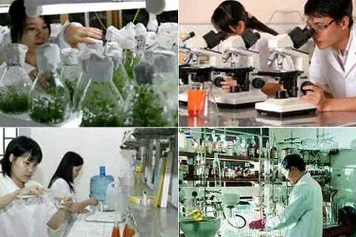 Xu hướng Bác sĩ Cung công khai tin: Hotspot Matrix tiết lộ bí quyết video viral