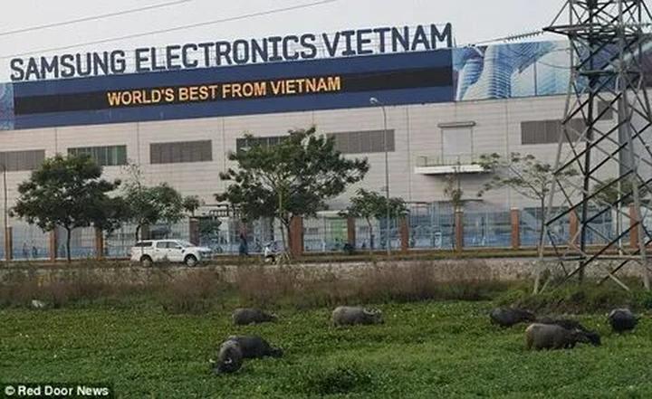 Giá mẫu iPhone này đang